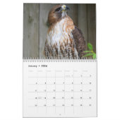 Calendrier Red Tailed Hawk 2023 Calendar (Jan 2026)