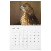 Calendrier Red Tailed Hawk 2023 Calendar (Mar 2027)