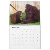 Calendrier Redd 2022 (Mar 2026)