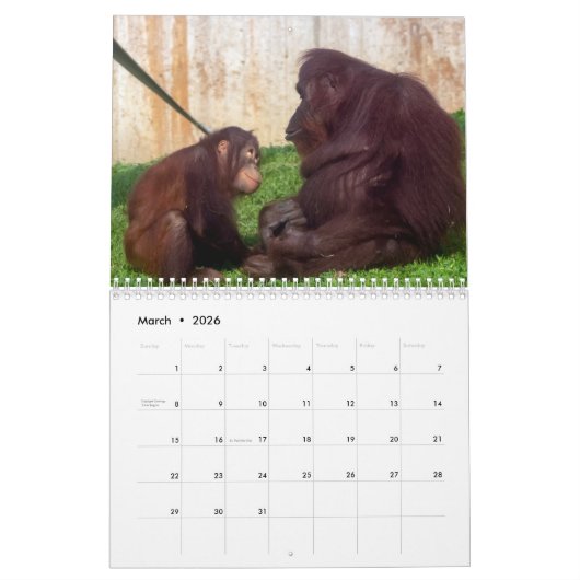 Calendrier Redd 2022 (Mar 2026)