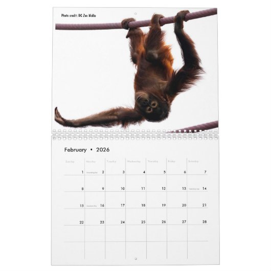 Calendrier Redd 2022 (Feb 2026)