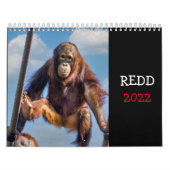 Calendrier Redd 2022 (Protection)