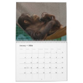 Calendrier Redd 2022 (Jan 2026)