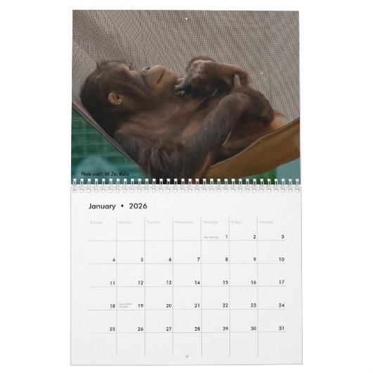 Calendrier Redd 2022 (Jan 2026)