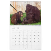 Calendrier Redd 2022 (Mar 2027)