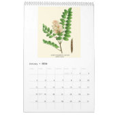 Calendrier Redoute botanique vintage Arbres à fleurs 2026 (Jan 2026)