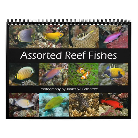 Calendrier Reef Fishes Wall Calendar 1 de J.W. Patrie (Protection)