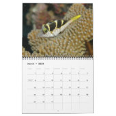 Calendrier Reef Fishes Wall Calendar 1 de J.W. Patrie (Mar 2026)