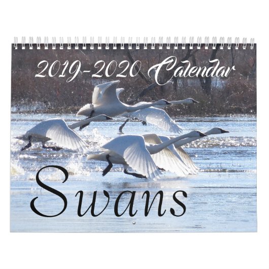 Calendrier refuges de 2019 2020 de cygne d'oiseaux animaux de (Protection)