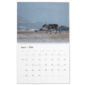 Calendrier Reindeer 2026 (Mar 2026)
