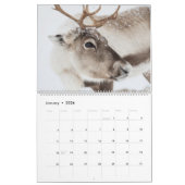Calendrier Reindeer 2026 (Jan 2026)