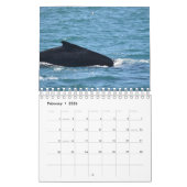 CALENDRIER REINE DE LA BALEINE HUMPBACÉE AUSTRALIE (Feb 2026)