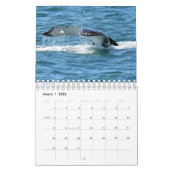 CALENDRIER REINE DE LA BALEINE HUMPBACÉE AUSTRALIE (Mar 2026)
