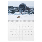 Calendrier Renard Arctique 2027 (Mar 2027)