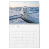 Calendrier Renard Arctique 2027 (Jan 2027)