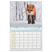 Calendrier Renard, Calendar Fox, Forest Forêt (Jan 2027)