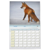 Calendrier Renard, Calendar Fox, Forest Forêt (Feb 2027)