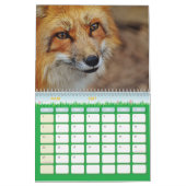 Calendrier Renard, Calendar Fox, Forest Forêt (Mar 2027)