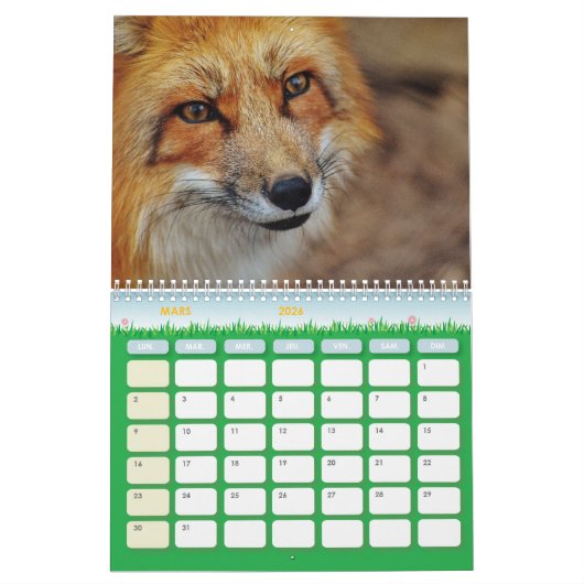 Calendrier Renard, Calendar Fox, Forest Forêt (Mar 2026)