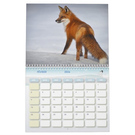 Calendrier Renard, Calendar Fox, Forest Forêt (Feb 2026)