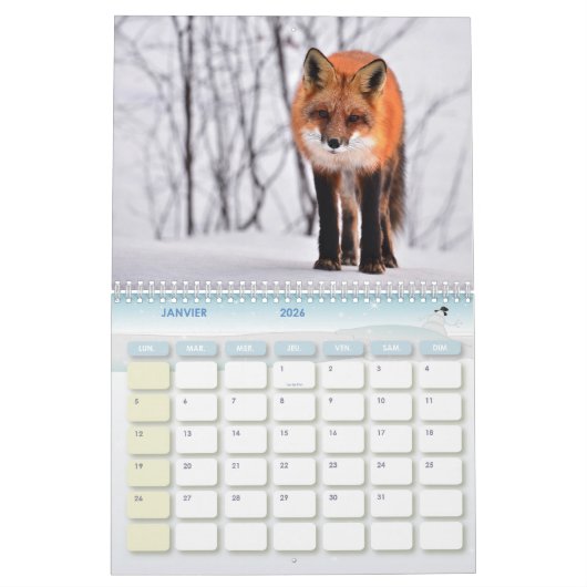Calendrier Renard, Calendar Fox, Forest Forêt (Jan 2026)