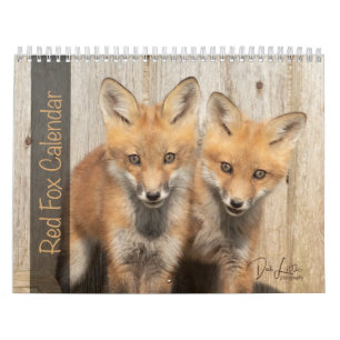Calendrier Renard rouge