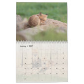 Calendrier Renard rouge (Jan 2027)