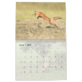 Calendrier Renard rouge (Mar 2027)