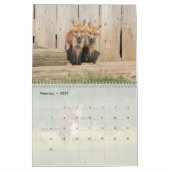 Calendrier Renard rouge (Feb 2027)