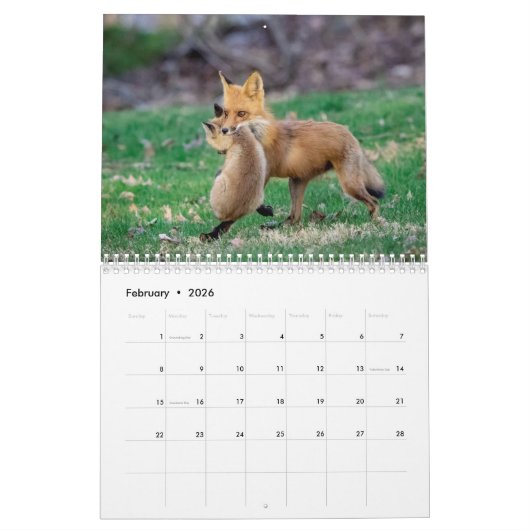 Calendrier Renards rouges - 2026 (Feb 2026)