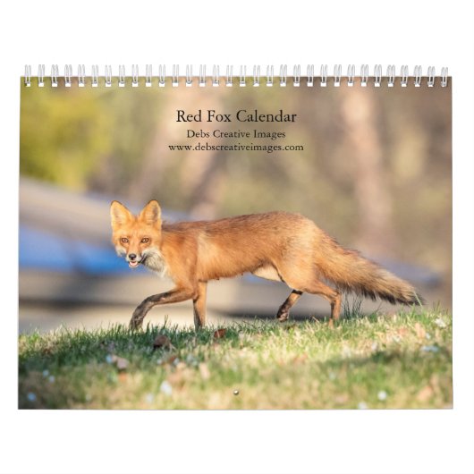 Calendrier Renards rouges - 2026 (Protection)