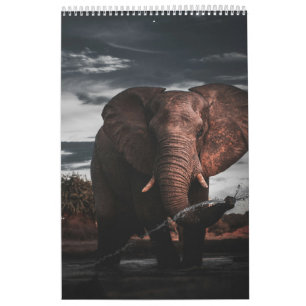 Calendrier Rencontres dans le Royaume sauvage de l'Afrique, C
