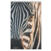 Rencontres dans le Royaume sauvage de l'Afrique, C