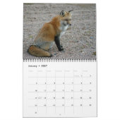 Calendrier Rencontres Red Fox (Jan 2027)