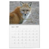 Calendrier Rencontres Red Fox (Mar 2027)