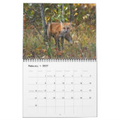 Calendrier Rencontres Red Fox (Feb 2027)