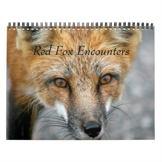 Calendrier Rencontres Red Fox (Protection)