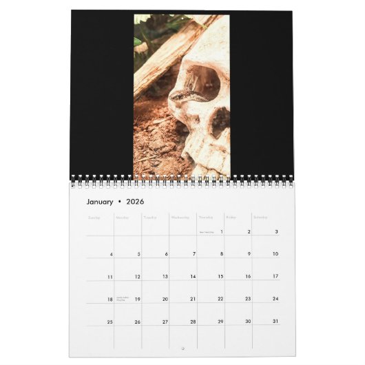 Calendrier Reptile Calendar 2021 (Jan 2026)