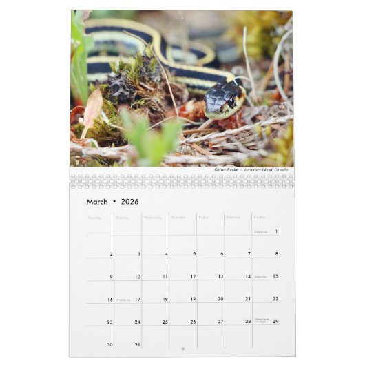 Calendrier Reptiles et amphibiens 2021 par Chris Milligan (Mar 2026)