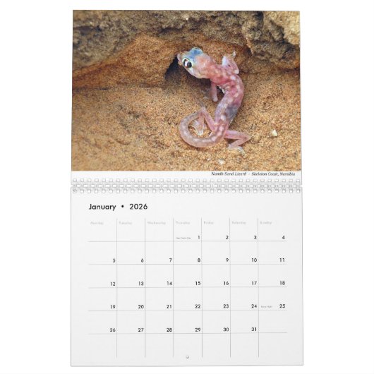 Calendrier Reptiles et amphibiens 2021 par Chris Milligan (Jan 2026)