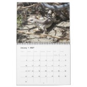 Calendrier Reptiles Wall Calendar de J.W. Patrie. (Jan 2027)