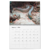 Calendrier Reptiles Wall Calendar de J.W. Patrie. (Feb 2026)