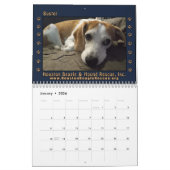 Calendrier Rescued Beagles 2026 Wall Calendar (Jan 2026)