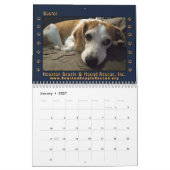 Calendrier Rescued Beagles 2026 Wall Calendar (Jan 2027)