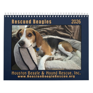 Calendrier Rescued Beagles 2026 Wall Calendar