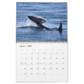 Calendrier résident du sud d'épaulard 2019 (Mar 2027)