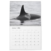 Calendrier résident du sud d'épaulard 2019 (Jan 2026)