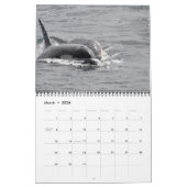 Calendrier résident du sud du ~ 2012 d'épaulards (Mar 2026)