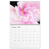 Calendrier Résumé et médias mixtes 2025 MultiMediaSusan (Feb 2026)