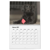 Calendrier Retriever à revêtement plat (Feb 2027)